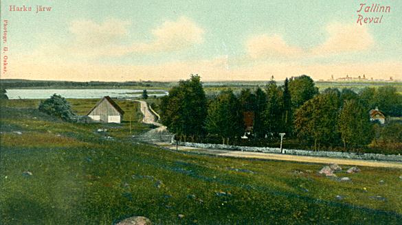 File:Tallinn Harku järv 1913.jpg
